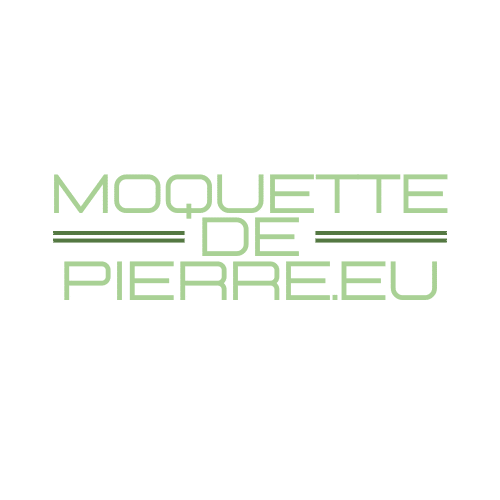 Moquette de pierre eu logo footer