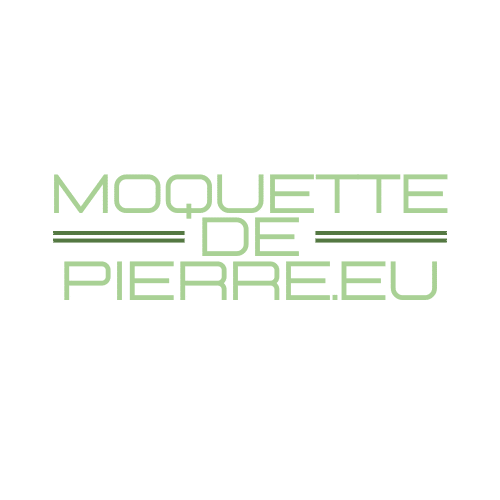 Logo Home Résine